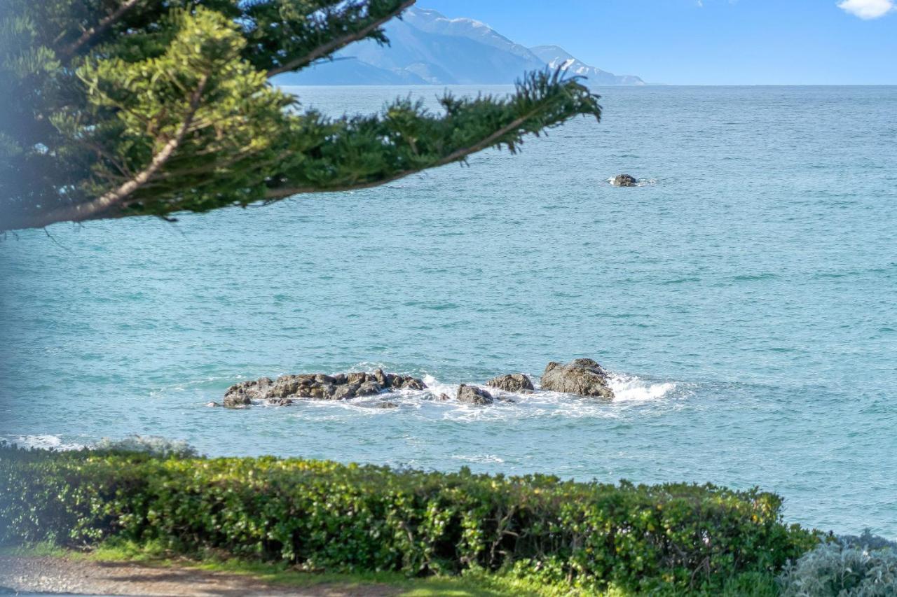Kaikoura Waterfront Apartments المظهر الخارجي الصورة